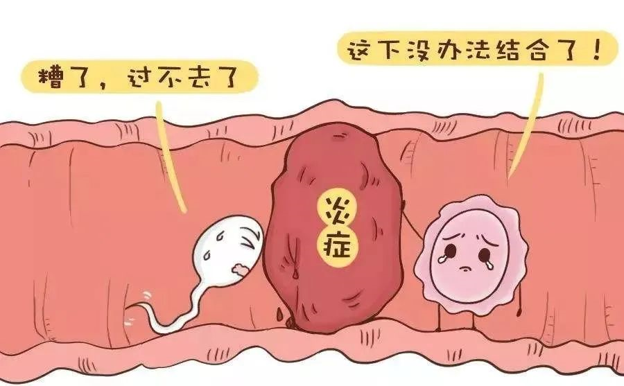 北京试管婴儿医院促排卵影响卵巢功能吗