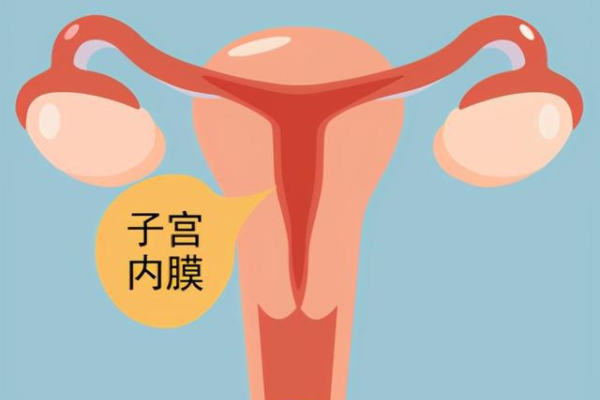 北京试管代孕包生男孩多少钱|2023年大庆三代试管婴儿私立医院做三代试管费用