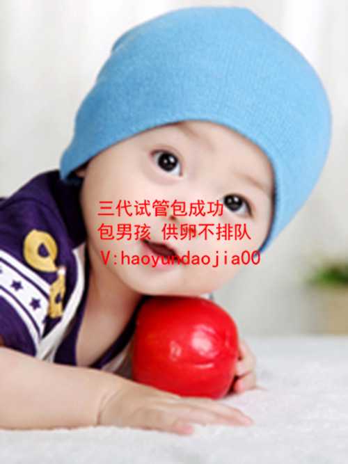 北京金贝供卵要多久能有卵源_北京卵巢早衰供卵流程_2020年武汉代孕价格表_最
