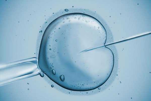 卵巢肿瘤怎么怀孕_生孩子会切除子宫_去做试管婴儿，过程中有什么需要注意的