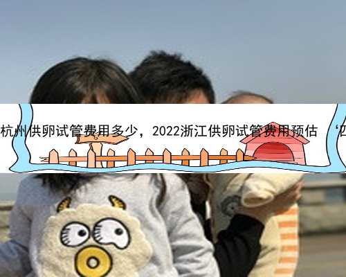 杭州助孕生了双胞胎公司 杭州供卵试管费用多少，2022浙江供卵试管费用预估