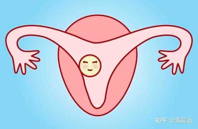 2023北京301医院供卵多少钱一次？,北京朝阳医院借卵生男孩优质医生成功率排行